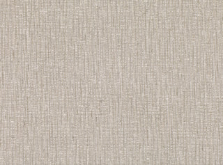 Torben Stucco - Bella Home Interiors