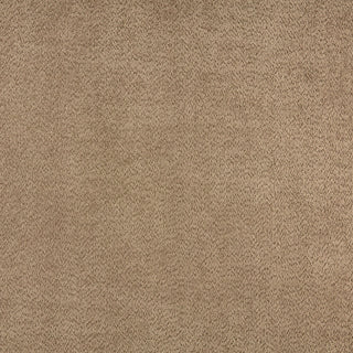 Plume Sand - Bella Home Interiors