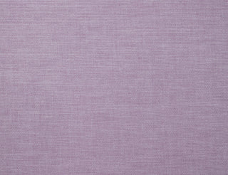 Lunar Violet - Bella Home Interiors